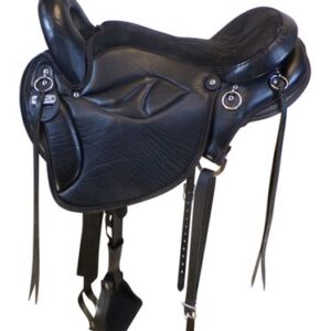 16 Inch Used National Bridle Gary Lane Pro Trail Saddle